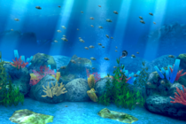 новое подводное приключение от создателей Ecco the Dolphin! новое подводное приключение от создателей Ecco the Dolphin!